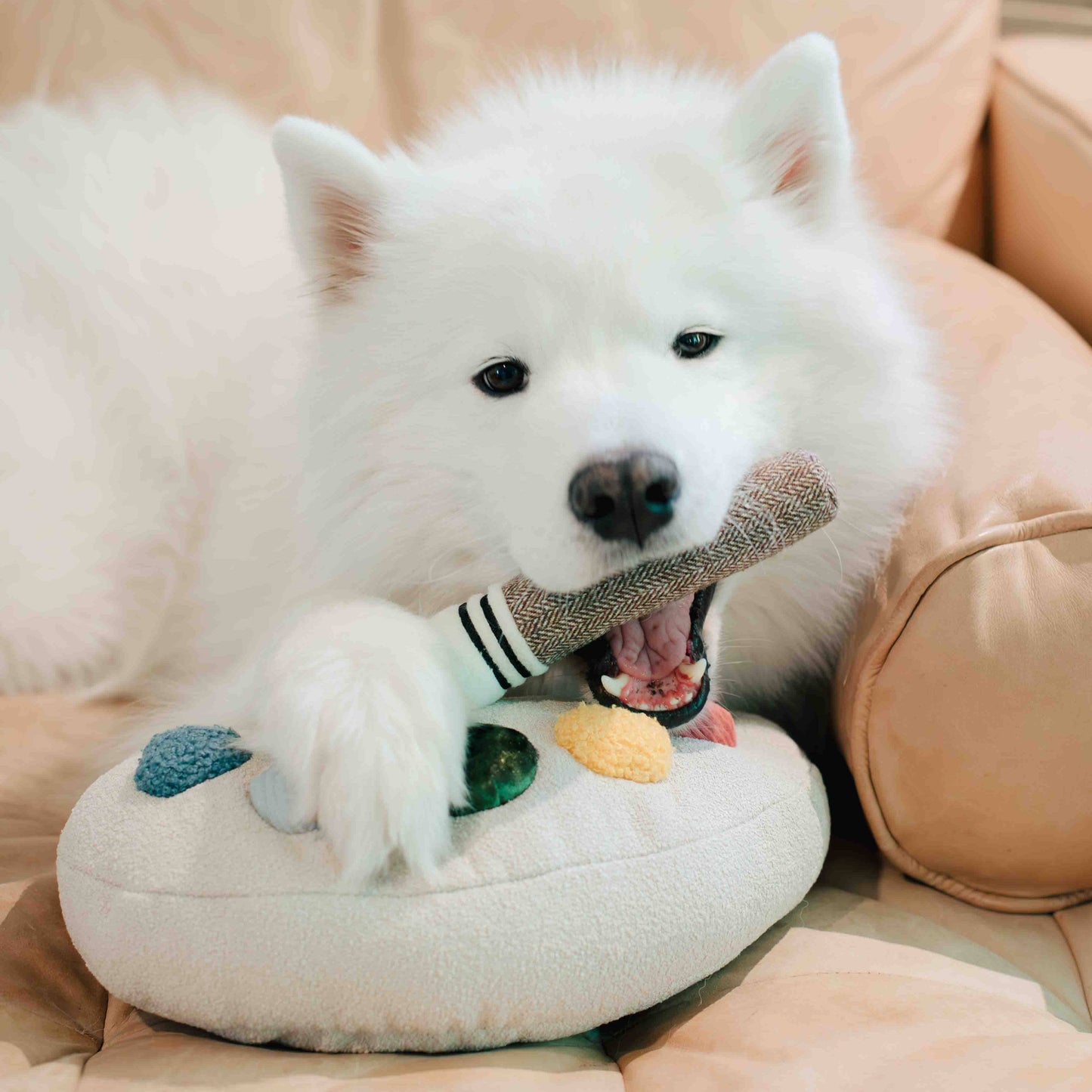 Color Palette Set // ENRICHMENT DOG TOY