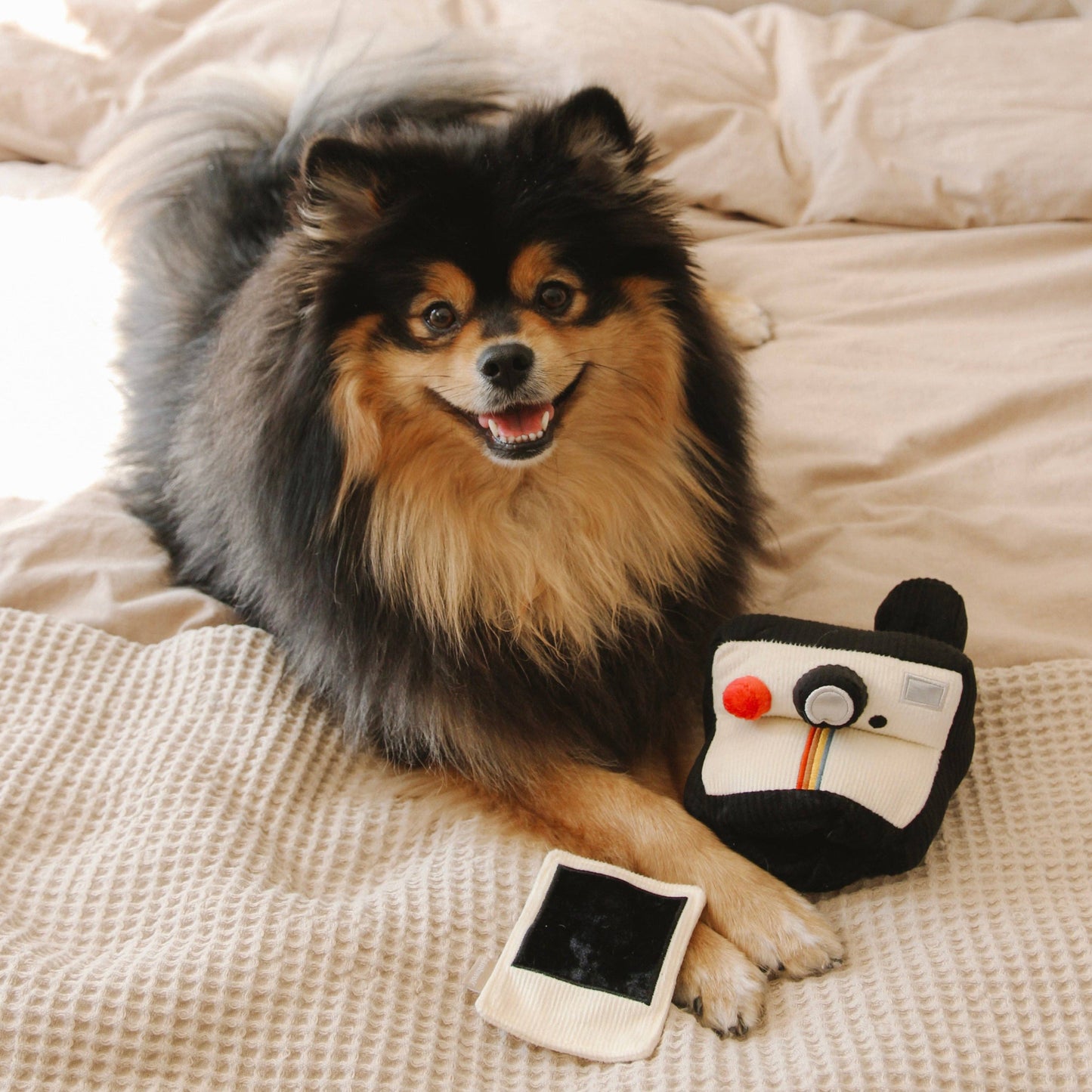 INSTANT CAMERA // ENRICHMENT DOG TOY