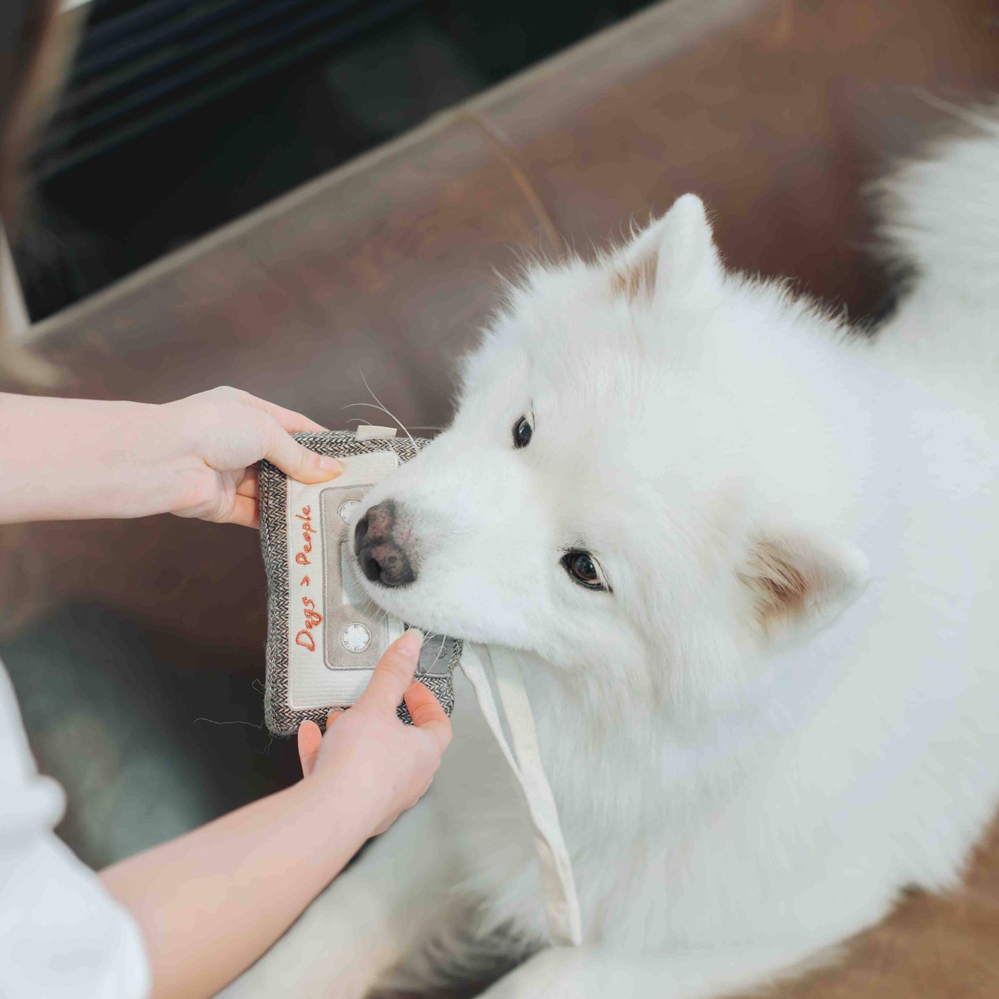 CASSETTE // ENRICHMENT DOG TOY