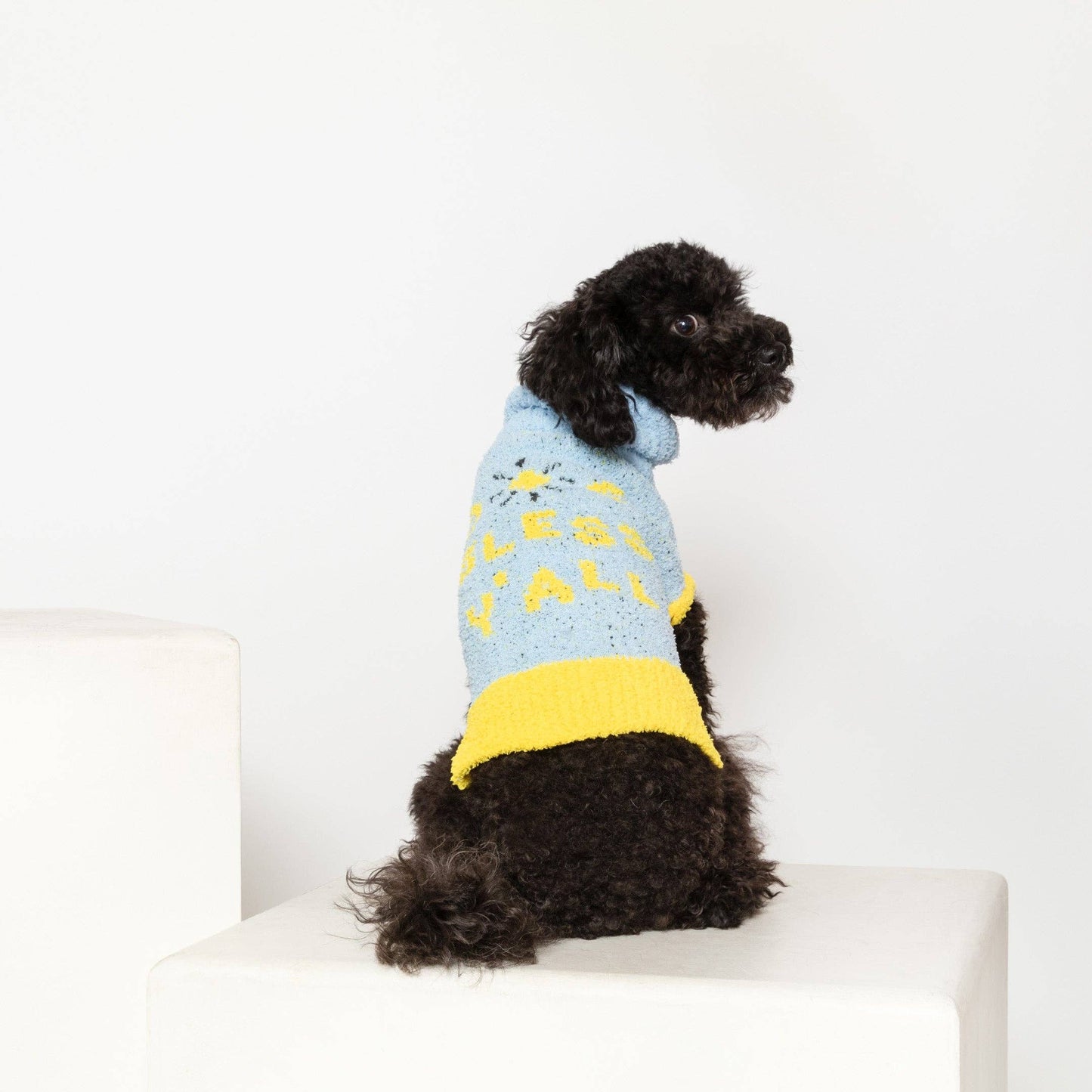 Dog Bless Sweater