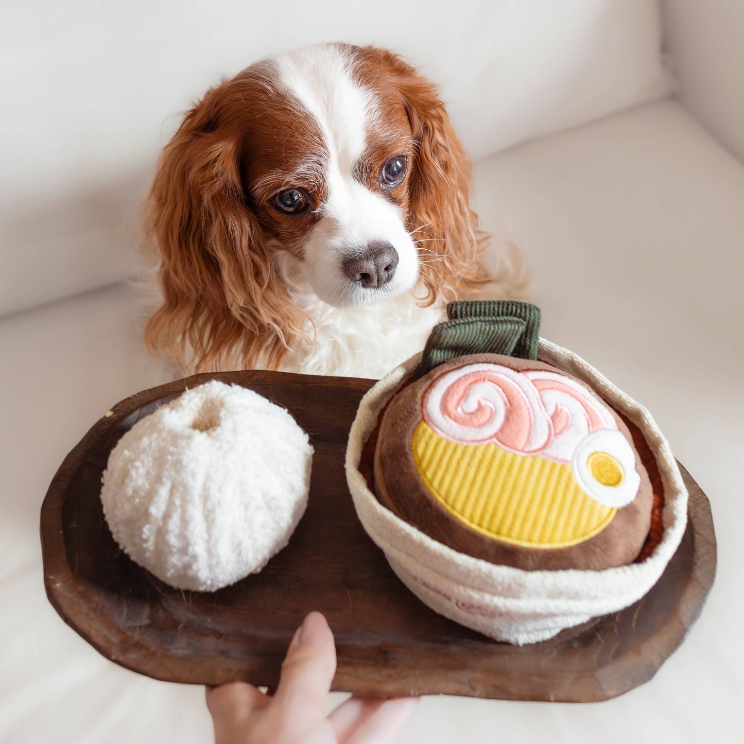 RAMEN // ENRICHMENT DOG TOY