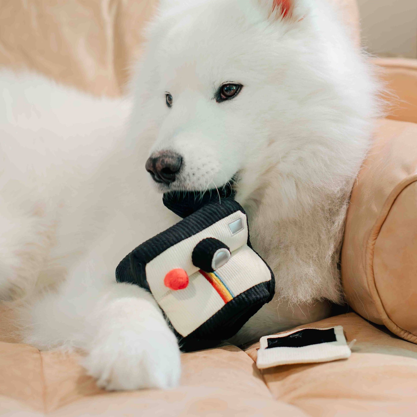 INSTANT CAMERA // ENRICHMENT DOG TOY