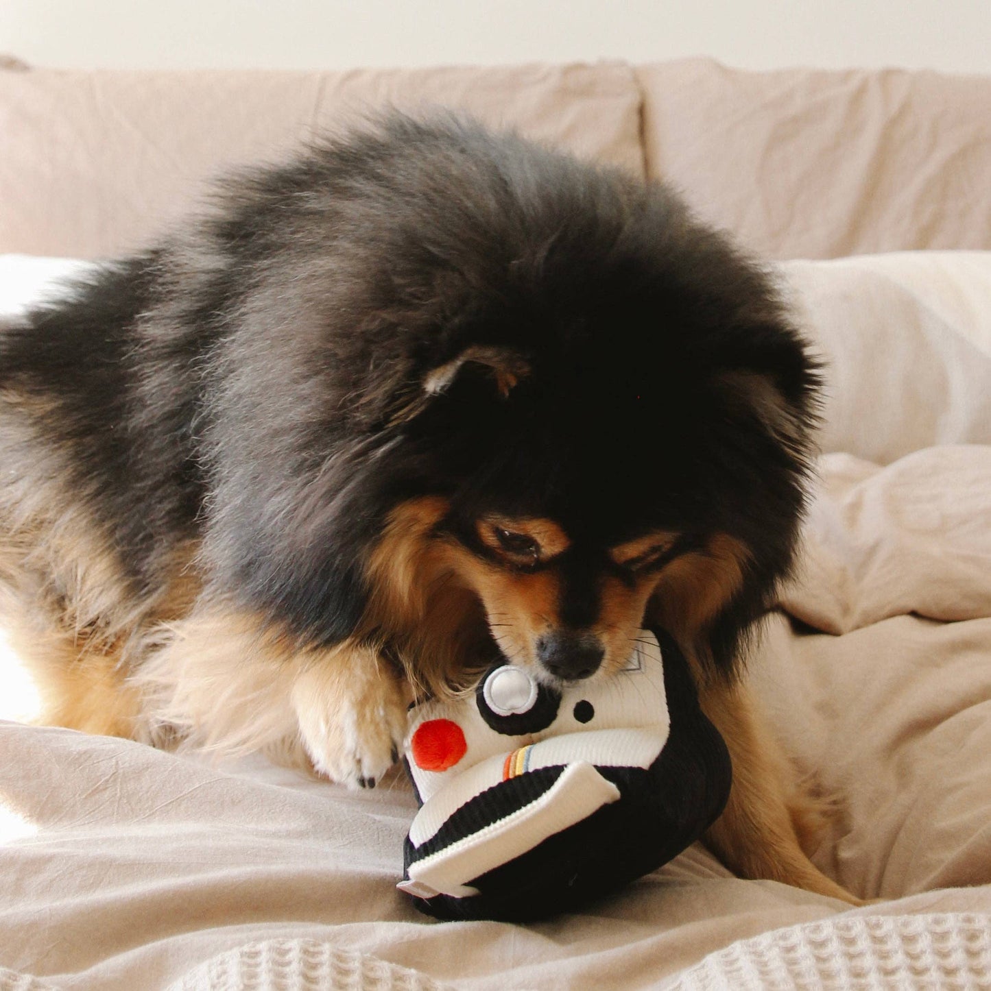 INSTANT CAMERA // ENRICHMENT DOG TOY