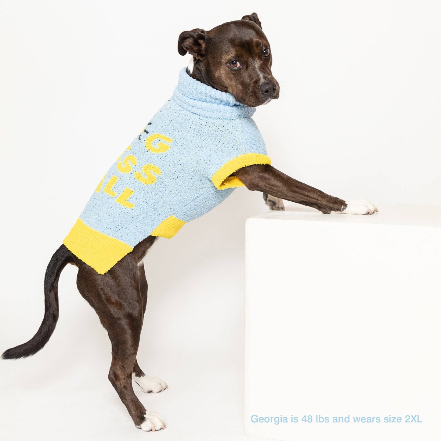 Dog Bless Sweater