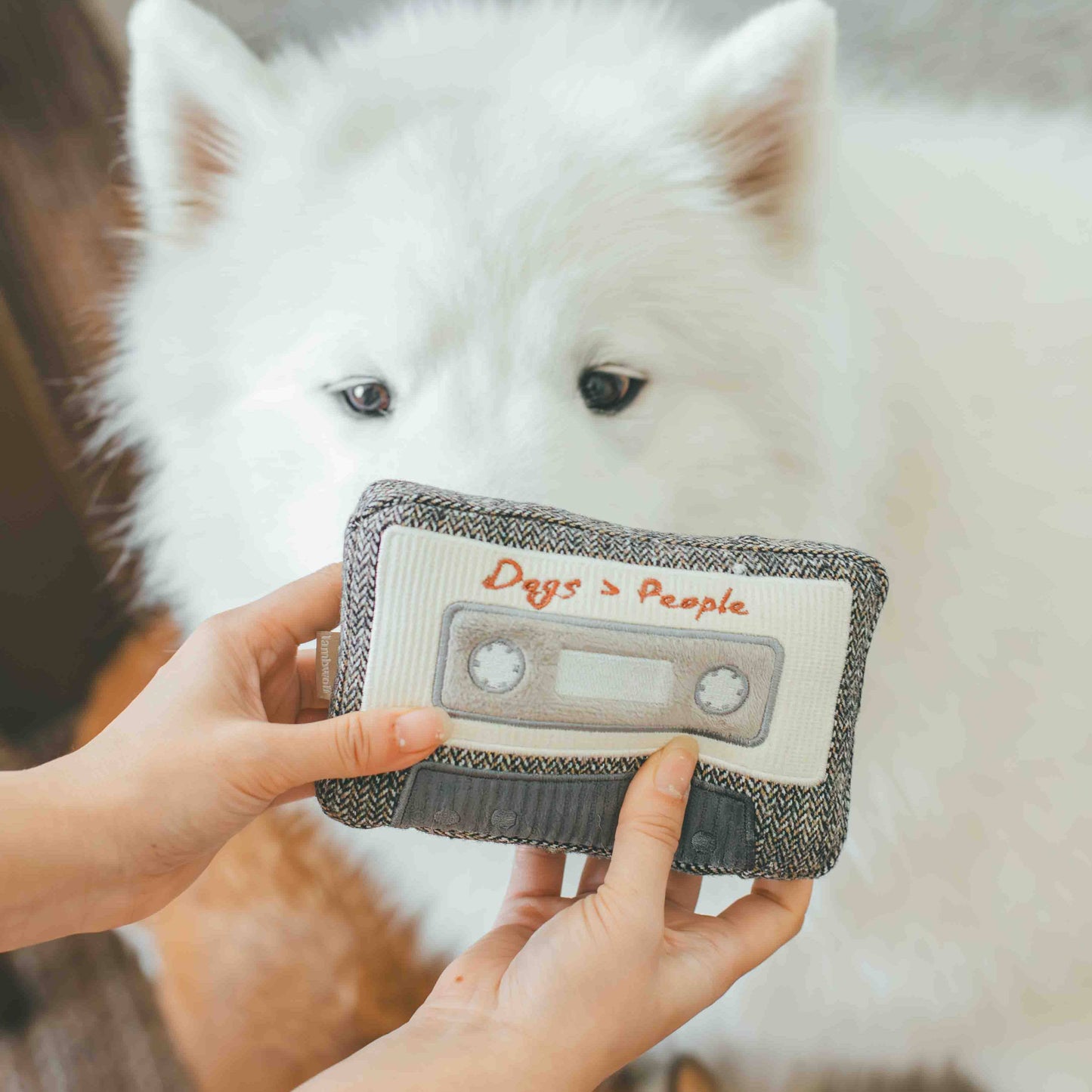 CASSETTE // ENRICHMENT DOG TOY