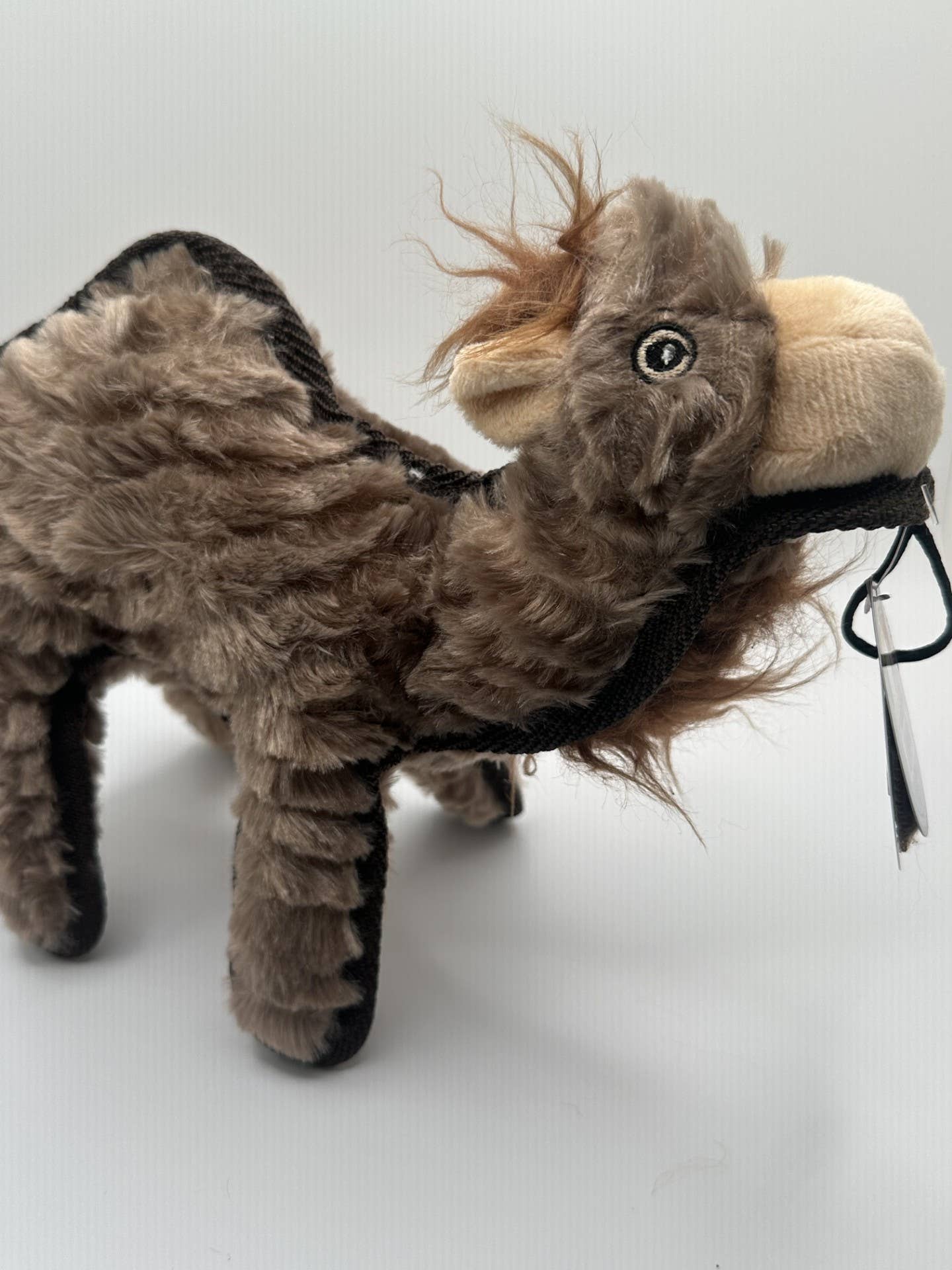 Ruffian Hoofer Camel