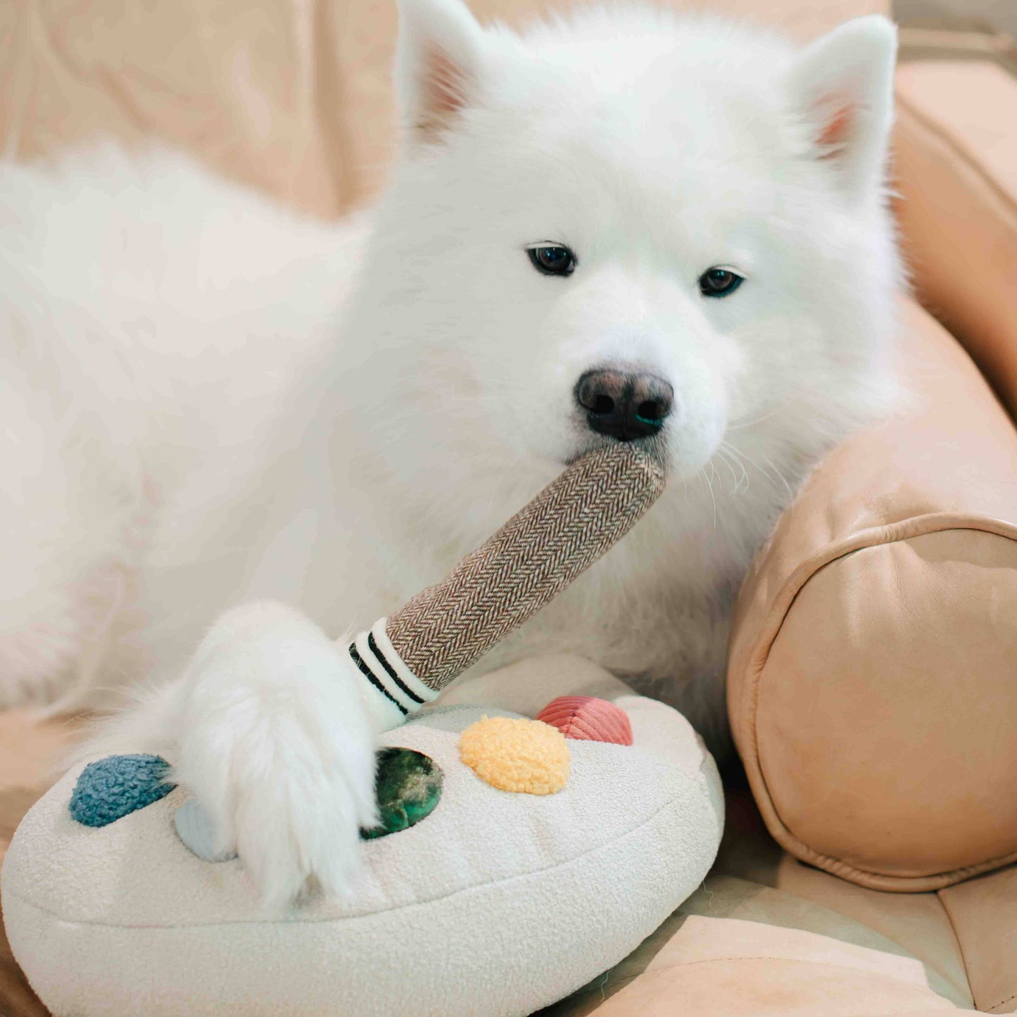 Color Palette Set // ENRICHMENT DOG TOY