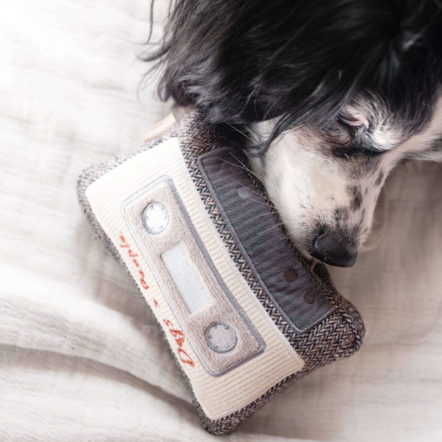 CASSETTE // ENRICHMENT DOG TOY