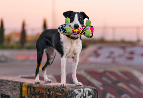 P.L.A.Y Classic Skateboard