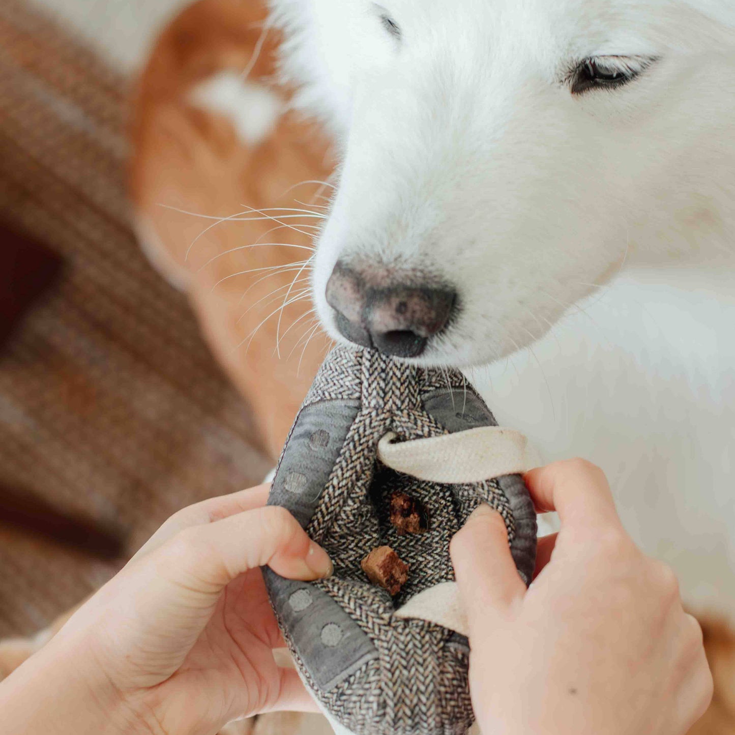 CASSETTE // ENRICHMENT DOG TOY