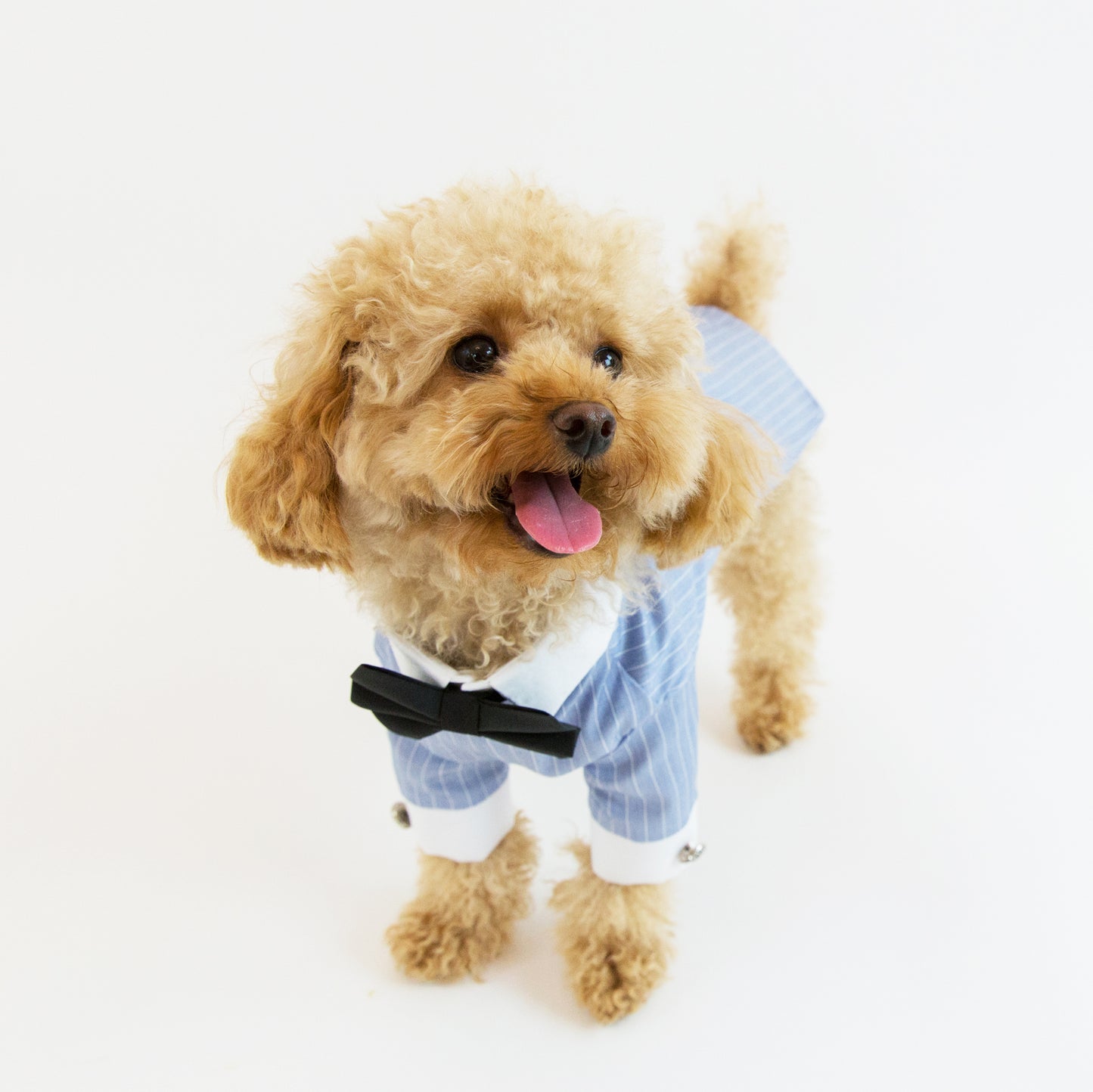 Light Blue Shirt