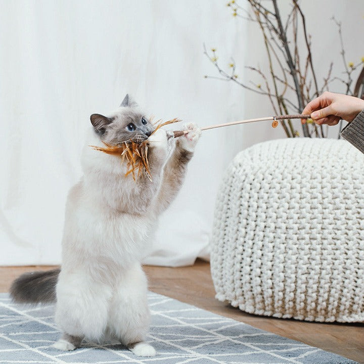 feather rod Cat Toy