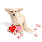 Midlee Valentine's Hearts Dog Tennis Balls: Regular