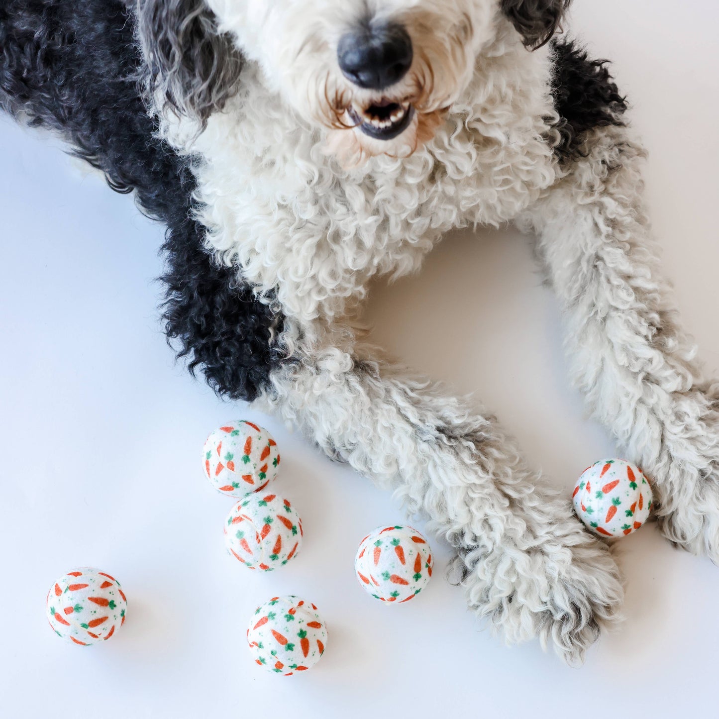 Easter Carrot Dog Tennis Balls