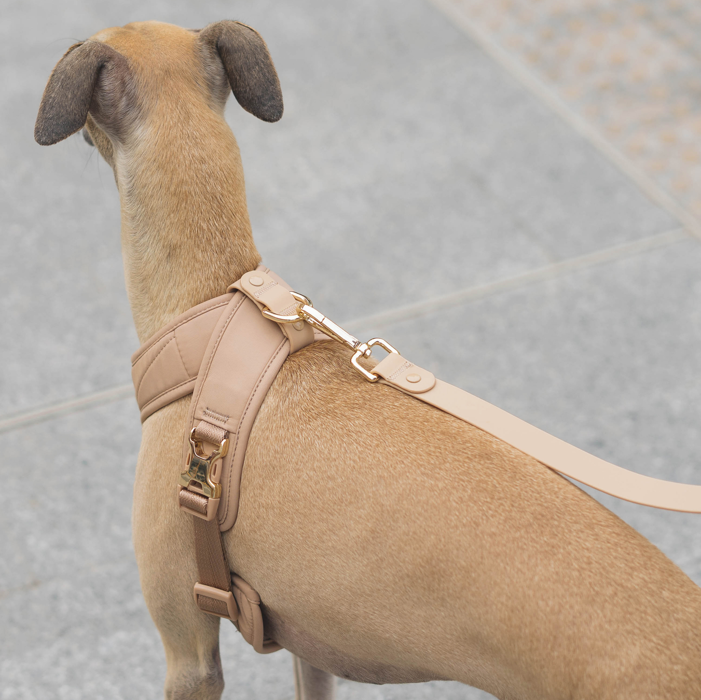 Roam Luxe Harness (Desert) | Dog Walking Gear | Dog Harness