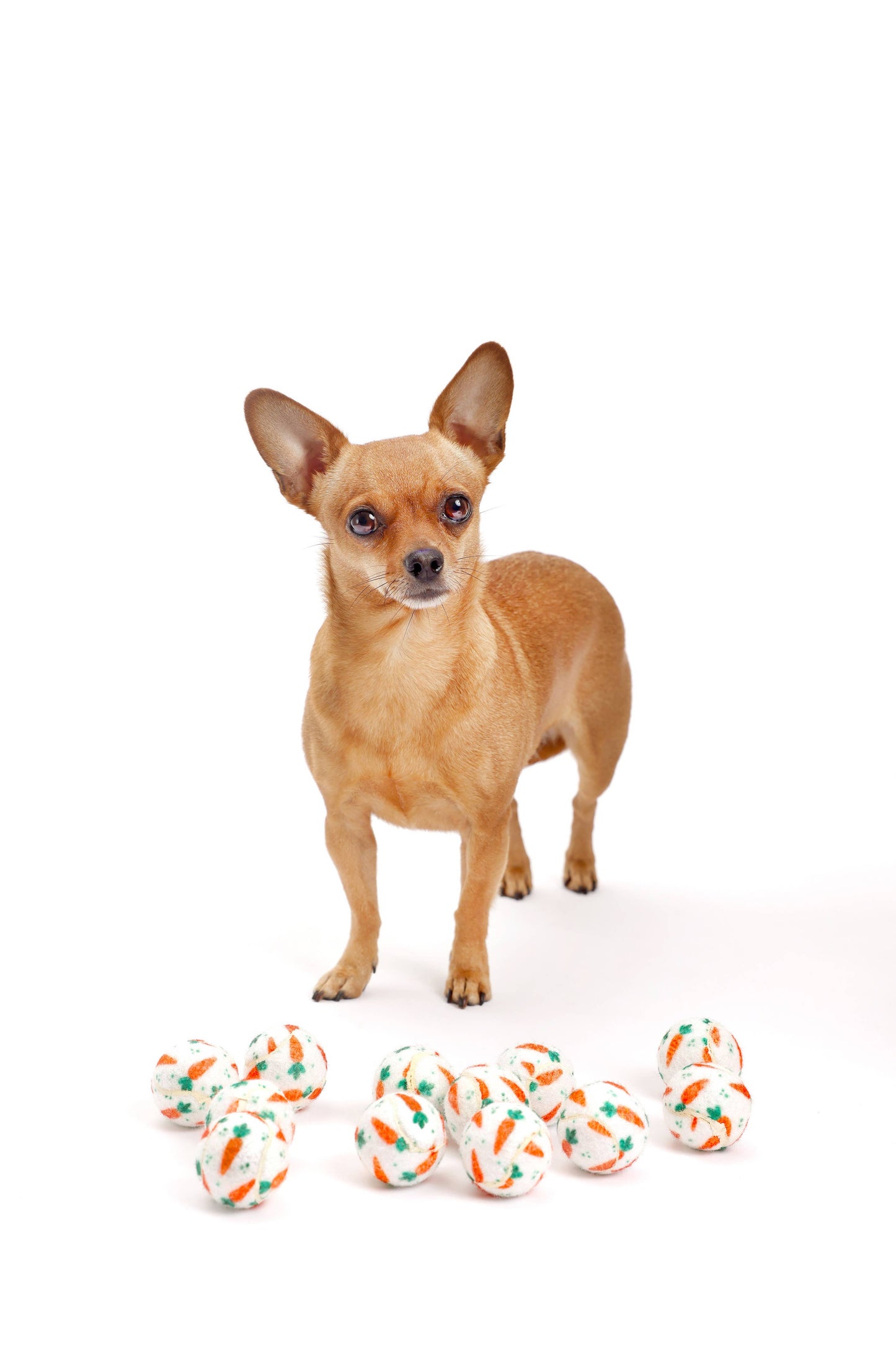 Easter Carrot Dog Tennis Balls