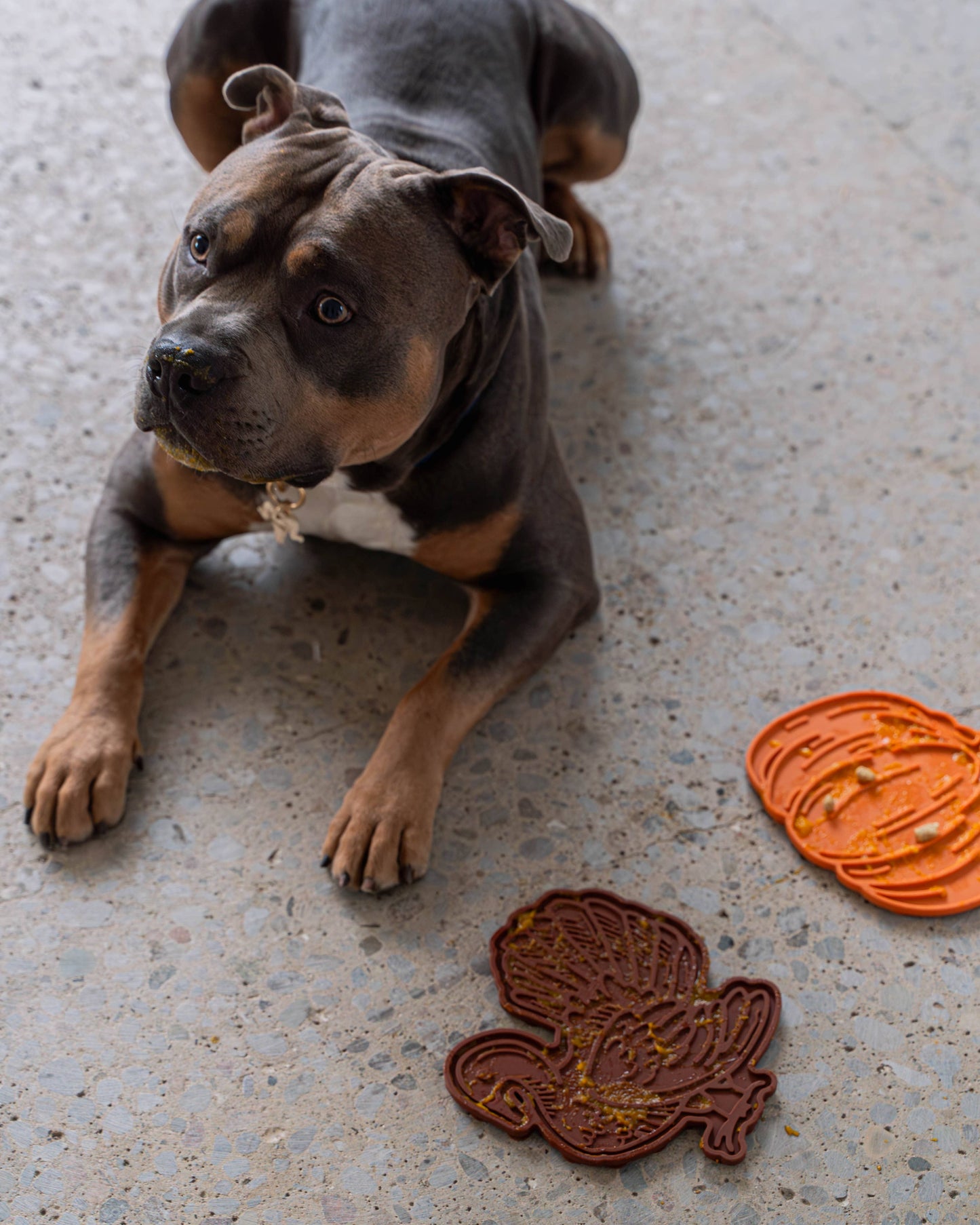 Turkey Lick Mat