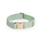 Pistachio Green Waterproof Dog Collar