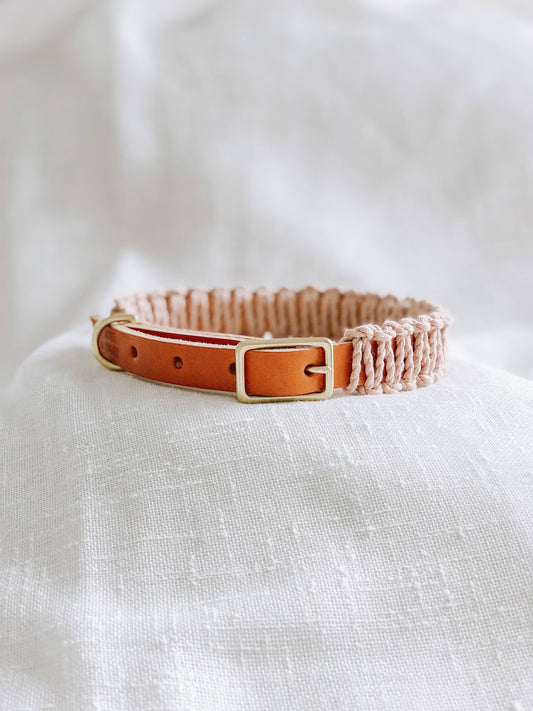 Caramel/Blush Macrame & Leather Dog Collar