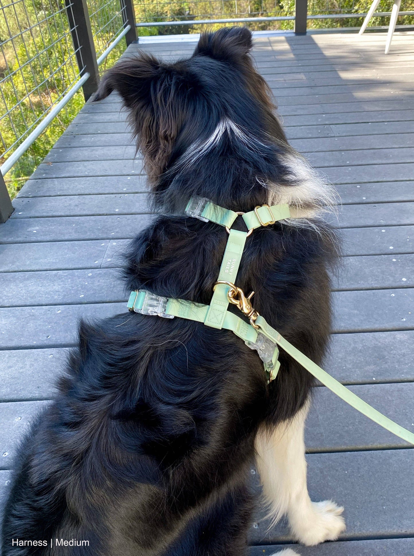 Pistachio Green Cloud Lite Dog Harness