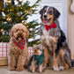 Tartan Plaid Flannel Holiday Dog Bandana