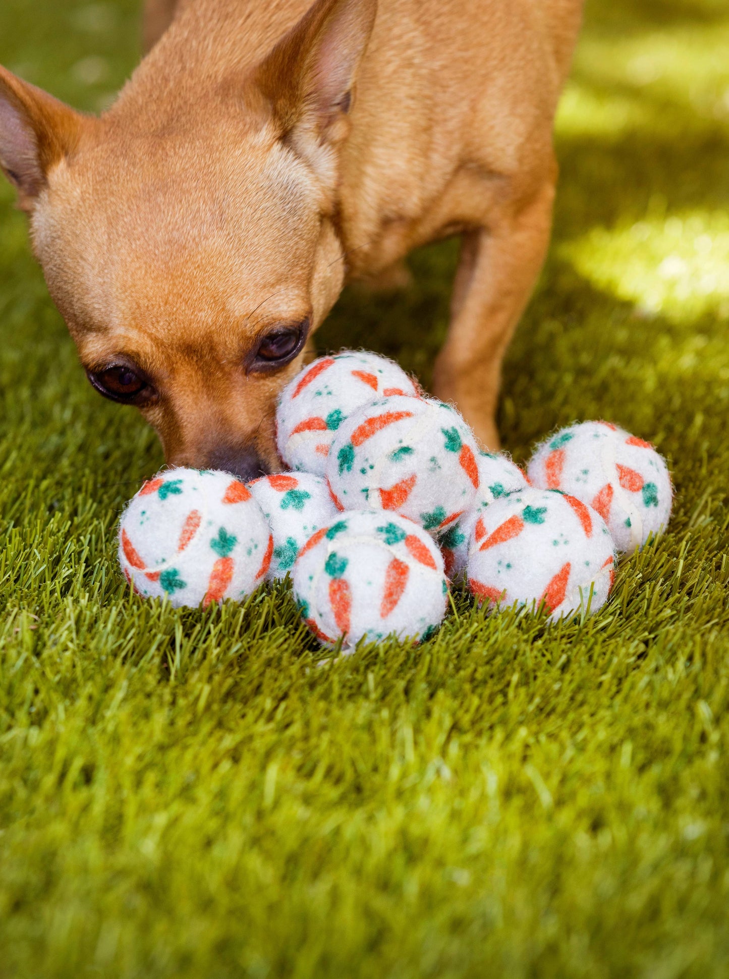 Easter Carrot Dog Tennis Balls