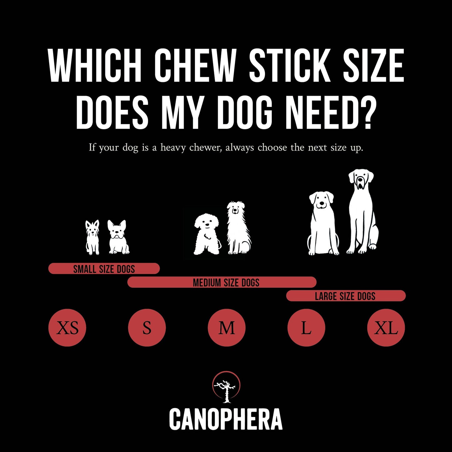 Dog Chew Made of Red Deer Antler Splits.: English / M