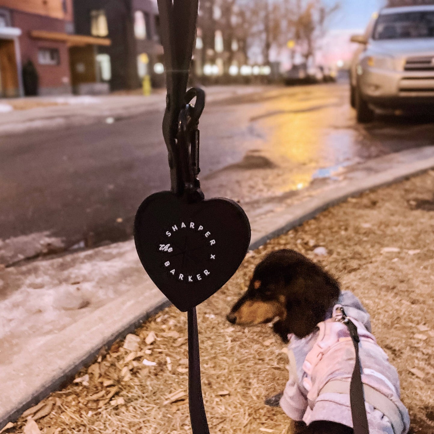 Waterproof Dog Leash - Black