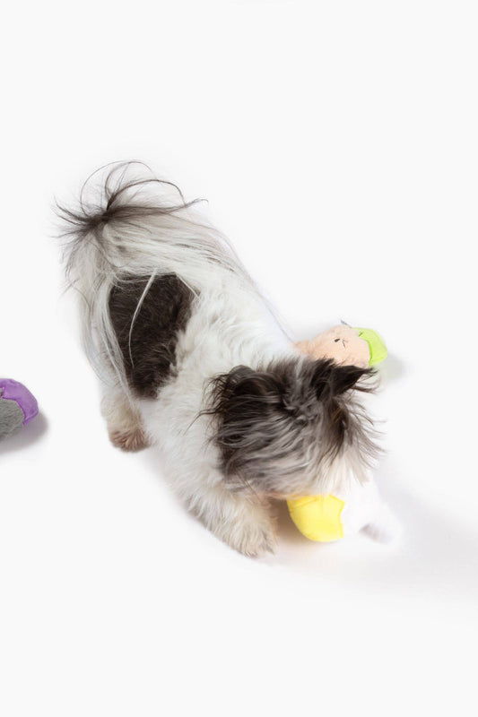 Easter Bunny Egg Dog Toys