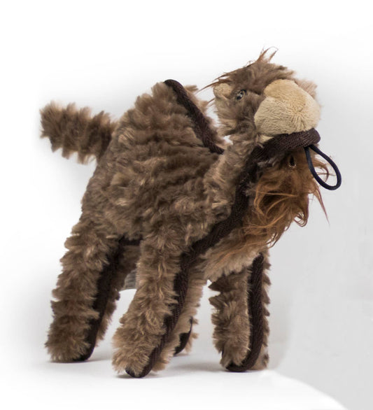 Ruffian Hoofer Camel