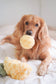 PINEAPPLE//ENRICHMENT DOG TOY