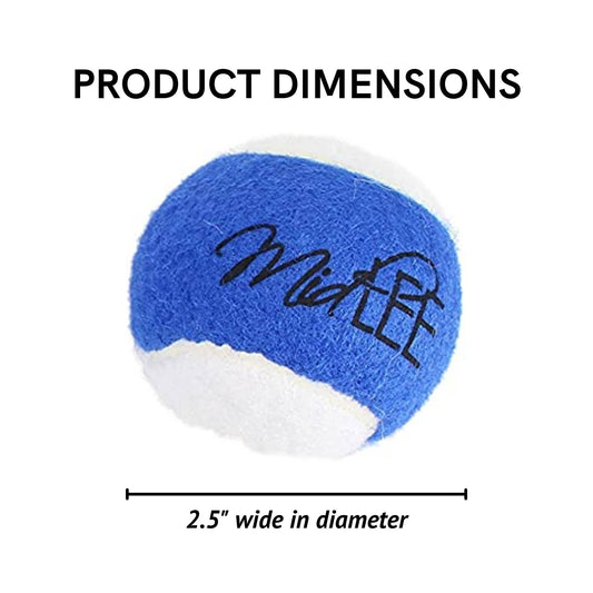 Blue/White Tennis Balls - Regular