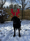 Midlee Christmas Reindeer Antlers with Ears for Large Dogs