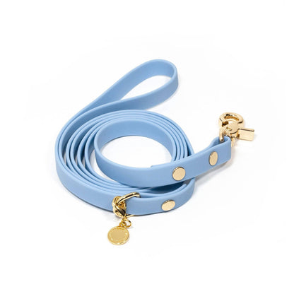 Dog Leash Waterproof - Blue, Lightweight,5 ft