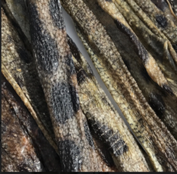 Icelandic+ Wolffish Stick & Pieces Fish Skin Chew Dog Treat