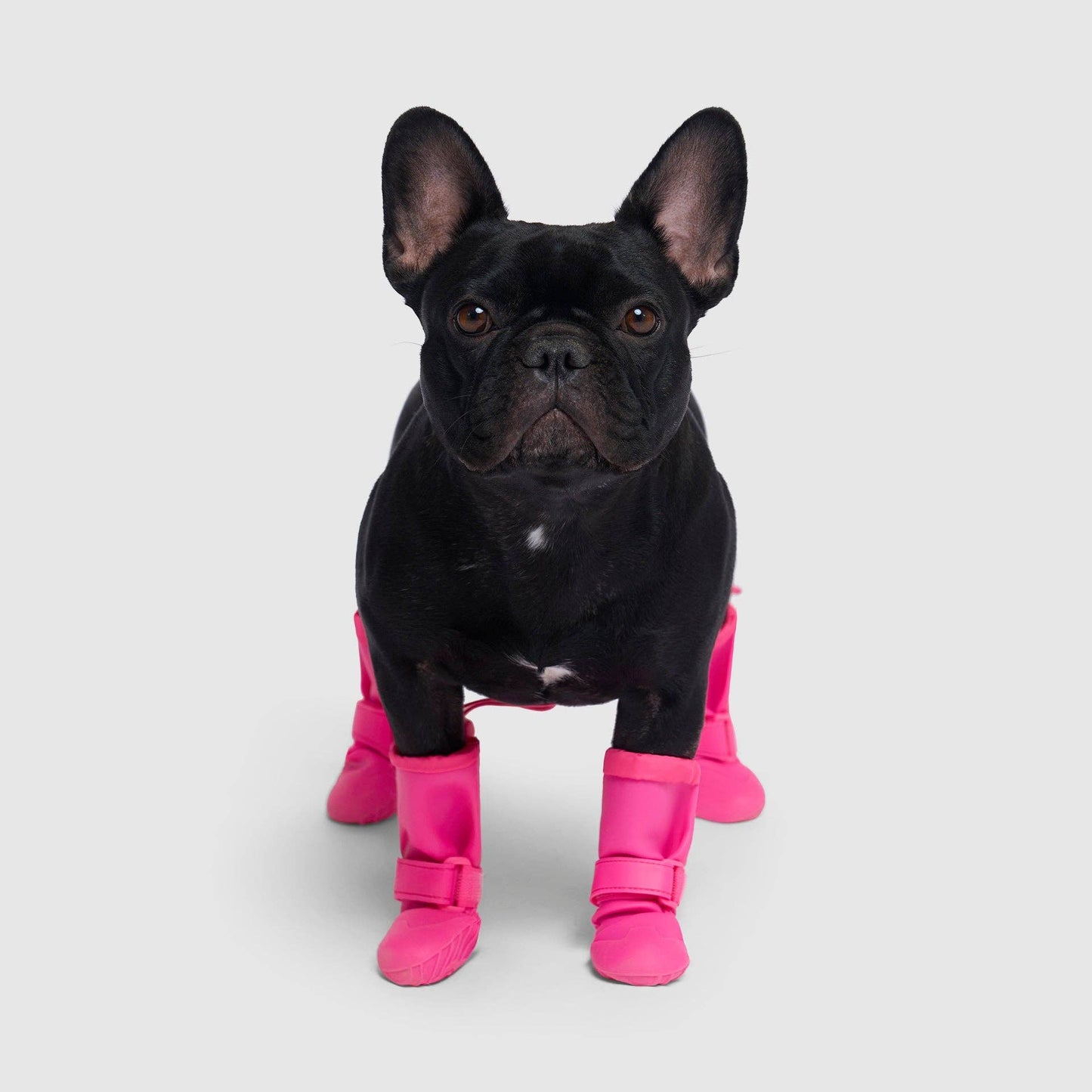 Waterproof Rain Boots- Dog Boots