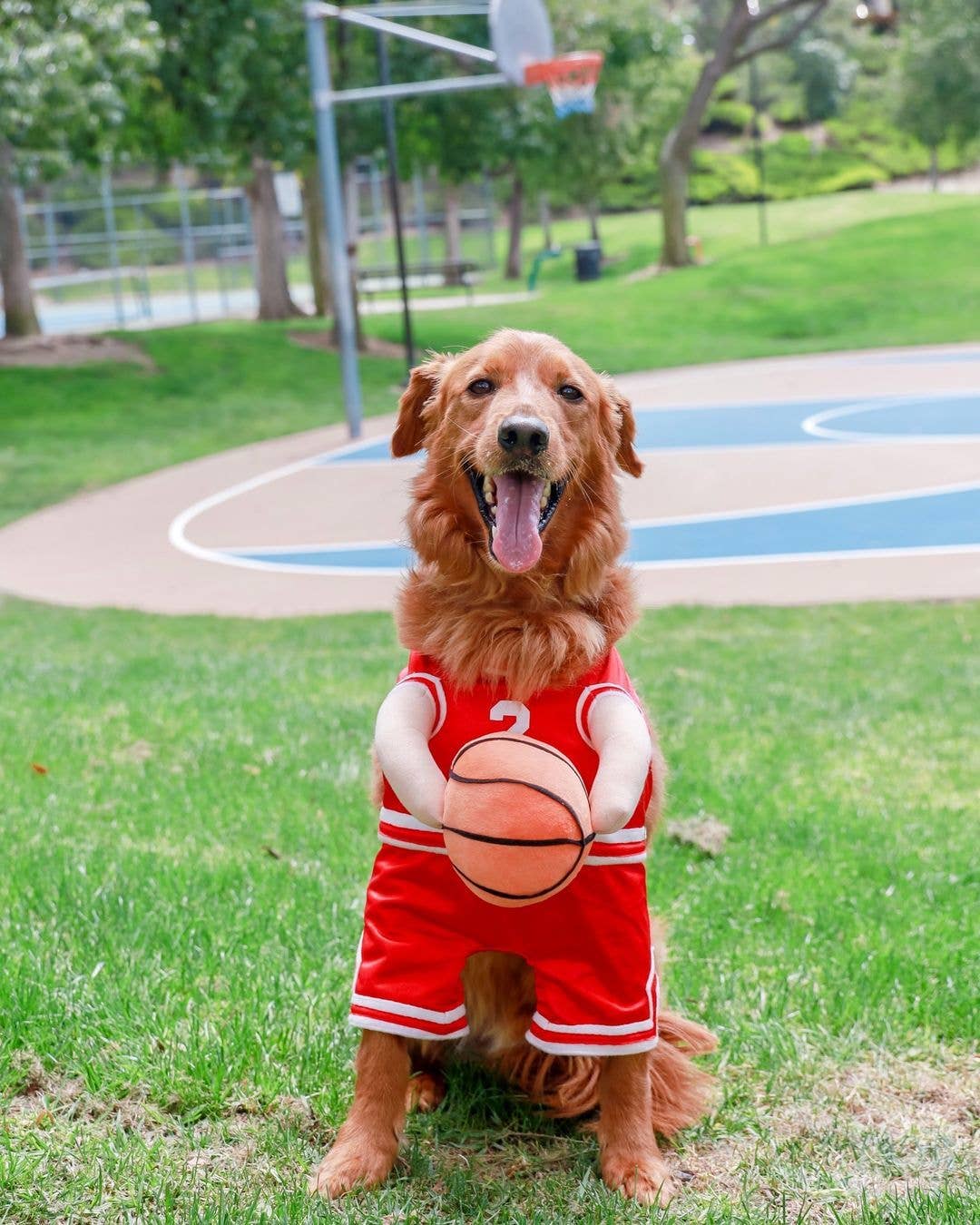 Pet Apparel - The Ball Hog