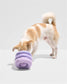 Plush Dog Toy - Tennis Tuft