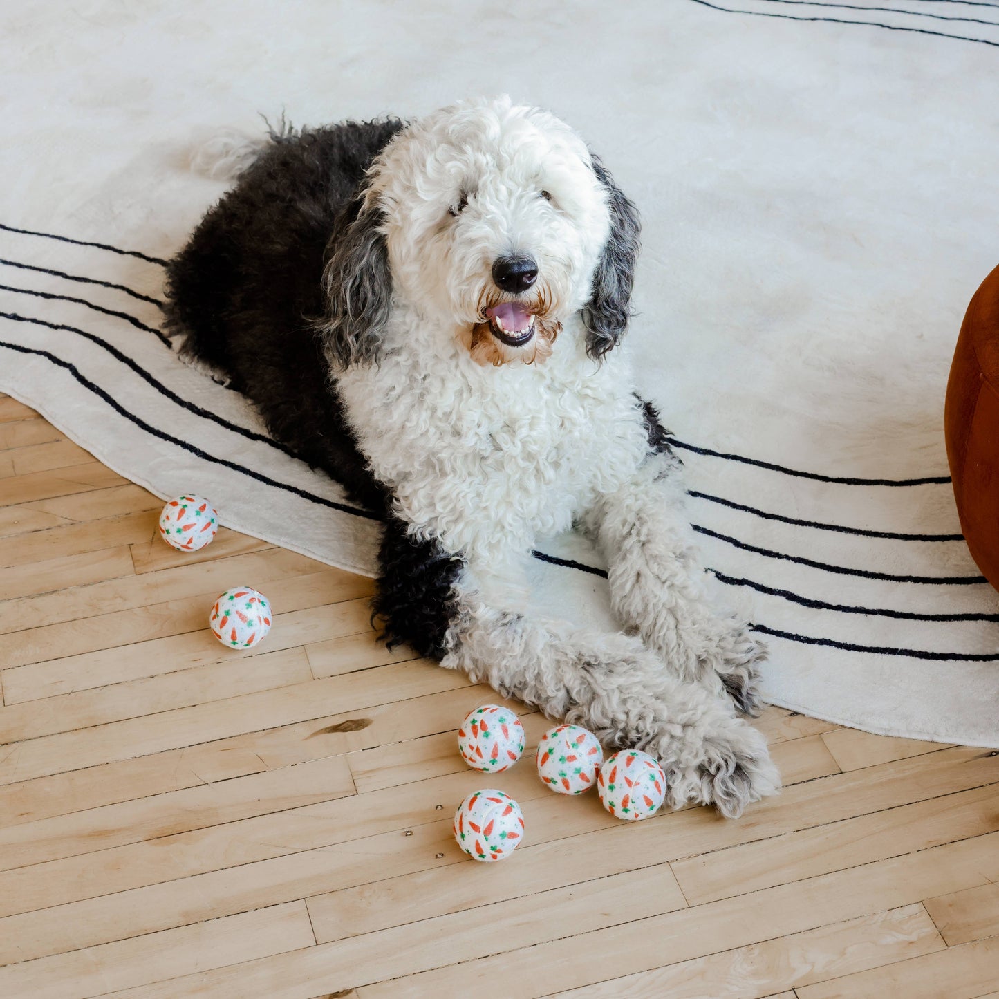 Easter Carrot Dog Tennis Balls