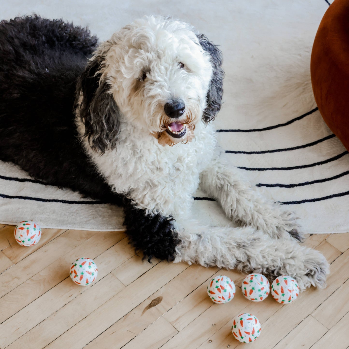 Easter Carrot Dog Tennis Balls