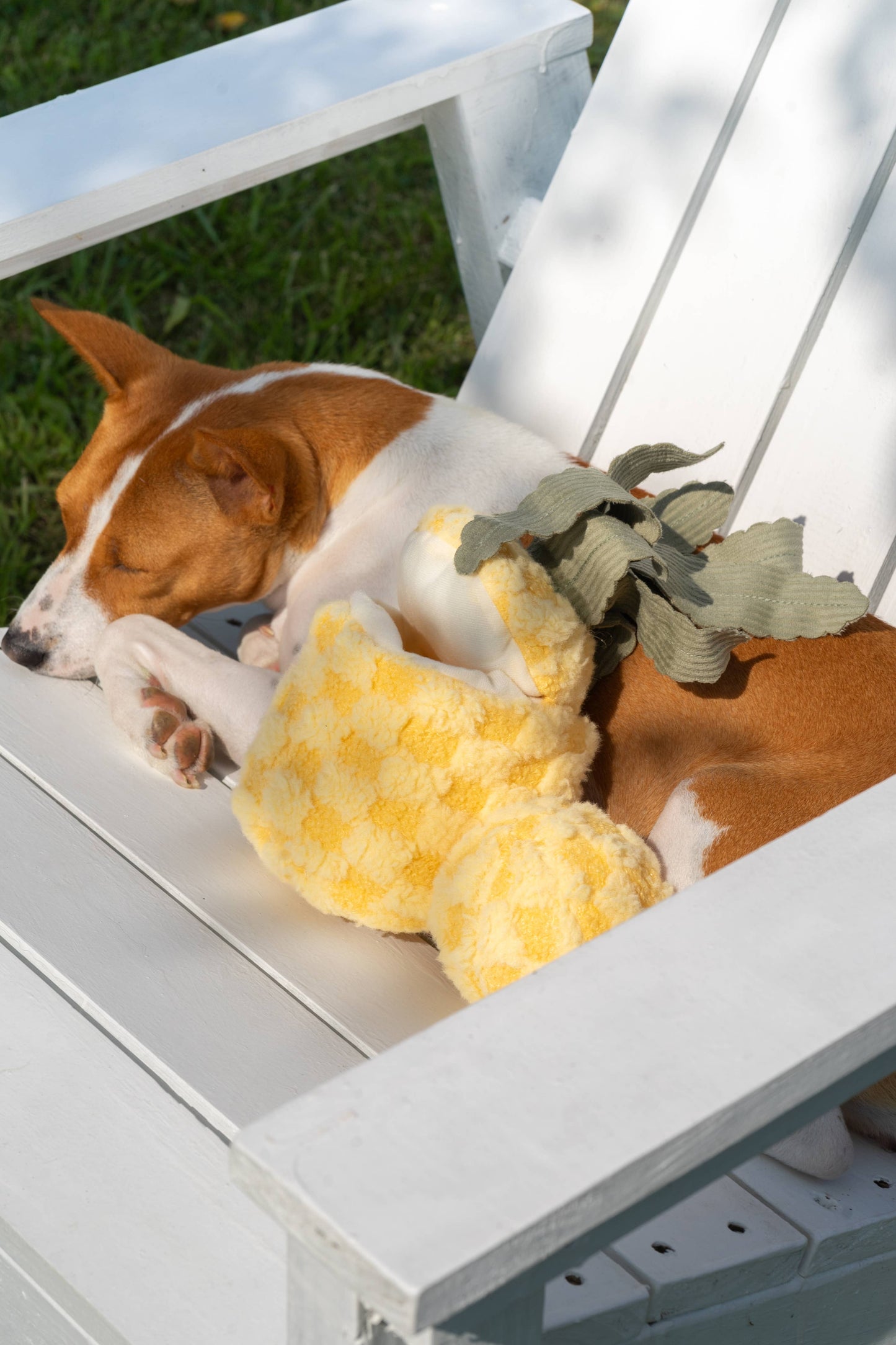 PINEAPPLE//ENRICHMENT DOG TOY