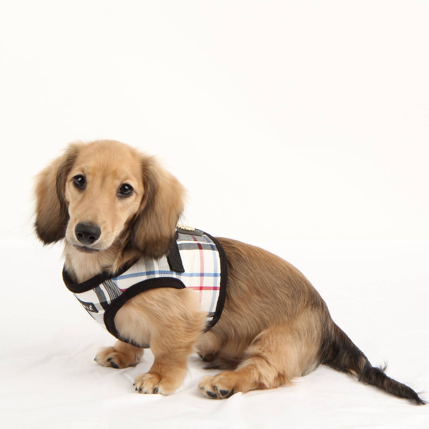 Junior Vest Dog Harness Checkered Pattern