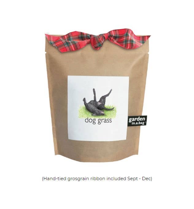 Garden in a Bag | Dog Grass