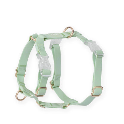 Pistachio Green Cloud Lite Dog Harness