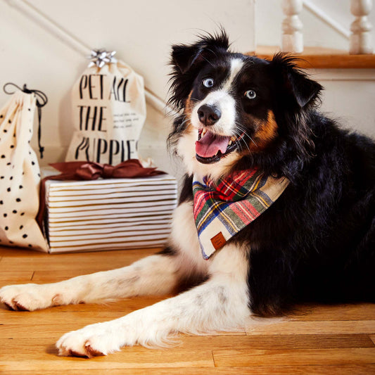 Regent Plaid Flannel Holiday Dog Bandana: Medium