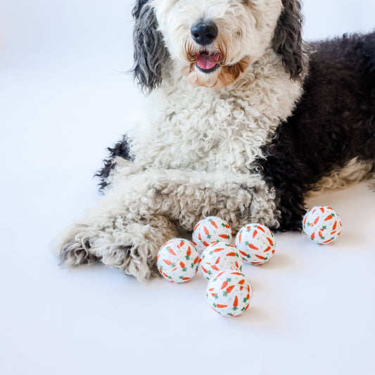 Easter Carrot Dog Tennis Balls