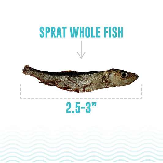 Icelandic+ Sprat Whole Fish Dog Treats