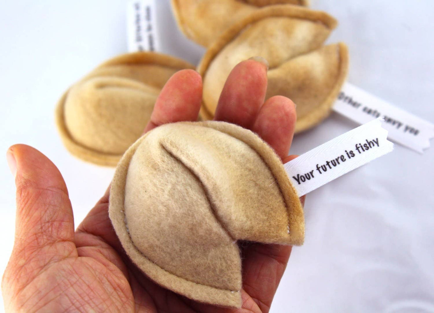 Cat Fortune Cookies