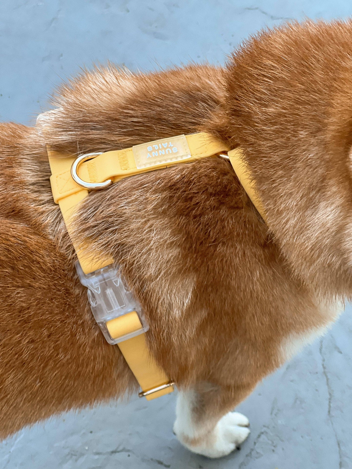 Dandelion Yellow Cloud Lite Dog Harness