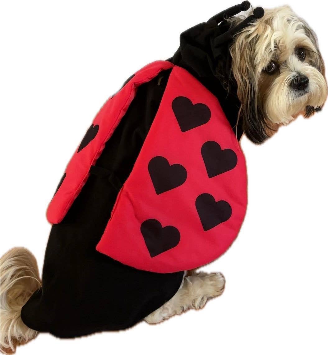 Pet Apparel - Lady Bug